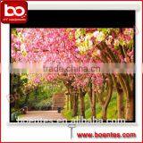 Wall Mounted Manual Projection Screen With Different Ratio 1:1 4:3 16:9 for Office Presentation Equipment thumbnail-1