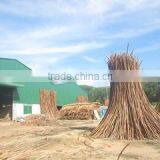 Luc Dong Construction And Trading Co., Ltd company overview - view 2 thumbnail