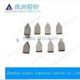 China Professional Carbide Tips