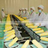 Qingdao Elites-United Foodstuff Co., Ltd. company overview - view 2 thumbnail