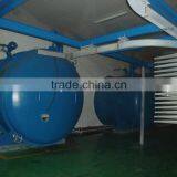 Sweet Taste Natural FD RASPBERRY Instant Soft Drink Powder thumbnail-2