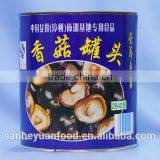 Good Quality Canned Shiitake Mushroom thumbnail-3