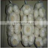 2016 New Crop Bulk Garlic With Competitive Price thumbnail-5