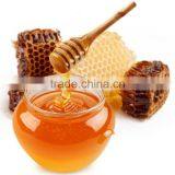 2016 Fresh Raw Sunflower Honey thumbnail-6