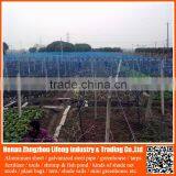 Best Anti Pigeon Hdpe Netting , Anti Bird Protection Net , Plastic PE Anti Bird Netting thumbnail-5