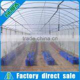 Economical Arch Roof Type Tunnel Greenhouse Steel Structure Greenhouse Panels thumbnail-3