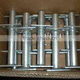 Galvanized Steel Nail