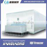 Large Output Cryogenic Freezing Tunnel Made In China