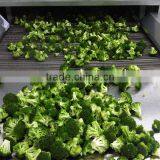Vegetable Tunnel Freezer thumbnail-2