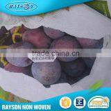 Non-Woven Uv Protected Plain Tnt Non Woven Fabric thumbnail-3