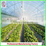 China Multi/single Span Plastic Film Greenhouse Agriculture for Sale thumbnail-5