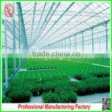 Multi-span Tunnel Agricultural Greenhouse for Flower Growing thumbnail-5