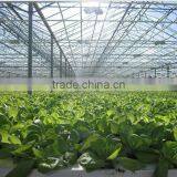 Large Size 3 Layer Film Cover Greenhouse for Agricultural thumbnail-2