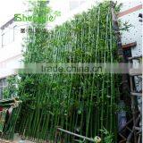 SJLJ013723 High Quality Artificial Bamboo Stick Plastic Evergreen Bamboo Plant thumbnail-3