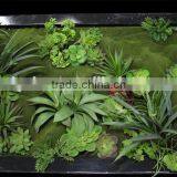 Fake Grass Wall Cheaper House Use (110X50cm) Artificial Wall Grass thumbnail-1