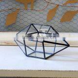Wholesale Hot Sale Clear Geometric Glass Terrarium thumbnail-2