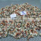 HLSO Tiger Shrimps thumbnail-2
