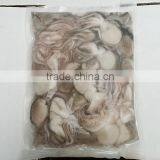 Frozen Baby Octopus Teeth Out thumbnail-3