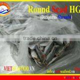 FROZEN ROUND SCAD HGT thumbnail-1