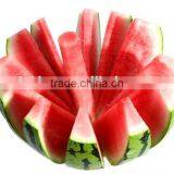 Stainless Steel Water Melon Slicer thumbnail-3