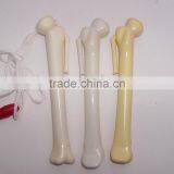 Office Use Ballpoint Pens With Bone Shape, School Ballpoint Pen, Home Ballpoint Pen thumbnail-1