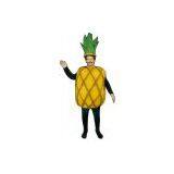 Big Pineapple Character,pineapple Costume Character, Disneyworld Character, Walking Costumes thumbnail-1