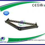FTP Cat.6A Patch panel angled 24 Port