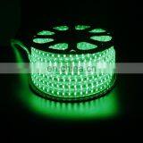 5050 Chip RGB Led Strip Light 110V 220V Waterproof Flexible Tube Lighting Stripe thumbnail-5