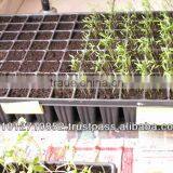 COCOPEAT FOR HOME GARDEN thumbnail-4