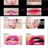 Wholesale Lipstick Tube Cheap Lipstick no Name Lipstick