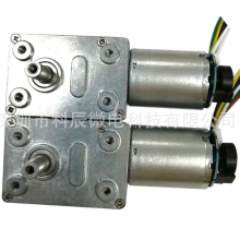 370 Worm and Gear Micro Reduction Motor With Encoder thumbnail-3