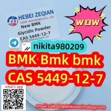 Cheap Price BMK Glycidic Acid (sodium Salt) CAS 5449-12-7 wick: nikita980209