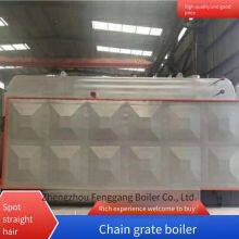 Chain Grate Quick-install Steam Boiler, Biomass Horizontal Stoker-fired Boiler With Water Shortage and Over-temperature Protection thumbnail-4