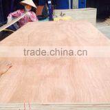 High Quality Plywood - Premium Quality Plywood thumbnail-2