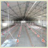 CE Approved Full Automatic Poultry Equipments for Broiler