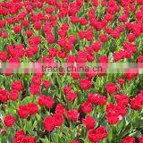 New Products Hot Sale Exterior Wall Bathroom 3d Glazed Polish Floor Tiles thumbnail-1