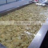 Pickled Sweet Sushi Ginger in Vinegar From China thumbnail-1