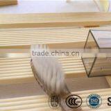 Hotel Travel Kit Toothbrush With Cap thumbnail-4