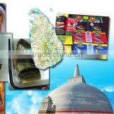 CANNED SARINE SRI LANKA SLSI ISO Member High Quality Premium 425g/210g/155g MackerelTuna in Tomato Sauce in Oil in Brine thumbnail-1