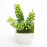 China Factory Best Price Mini Plants thumbnail-4