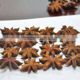 Star Anise thumbnail-1