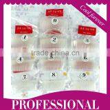 2013 Hot & Fashion Nail Tips