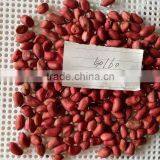 Red Skin Peanut Kernels With Good Quality for Sale thumbnail-6
