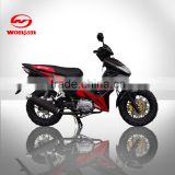 2015 chinese new design new style super hawk cub(WJ110-VI)