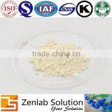 GMP Manufactor Organic Garcinia Cambogia Extract Hca 50% thumbnail-4