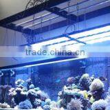 2016 New Product Android App Control Led Reef Lighting 4 Channels via Wifi Coral Reef Use Led Aquarium thumbnail-6