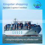 Data Cable, Sea Freight to Bufalo, Honduras From Shenzhen/Guangzhou/HongKong China FCL/LCL