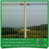 Cost Save Security Ornamental Double Loop Wire Design Highway Protection Fencing thumbnail-2