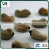 2016 Crop Kidney Shaped Fresh Dried Nuts thumbnail-5