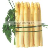 Spanish White Canned Asparagus from Navarra